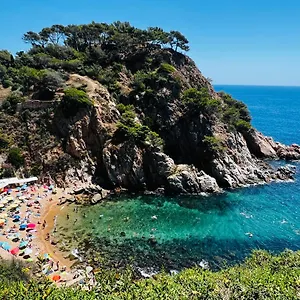 https://fantstico-piso-en-tossa-de-mar.topcostabravahotels.com